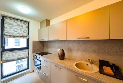 Apartament cu 2 camere semidecomandat, mobilat în Herăstrău - 7