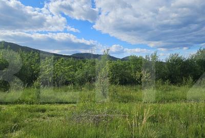 Teren cu priveli?te panoramica, de vanzare, 1281 mp, zona - 14