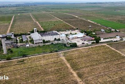 Spațiu comercial, de 5,300 mp, în Nicorești - 4