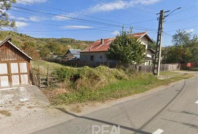 Teren de vanzare Drajna de Sus, zona buna pentru case vacanta - 3