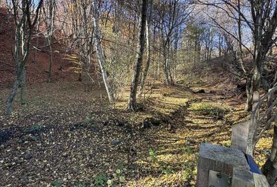 Spațiu comercial, în Uleni - 1