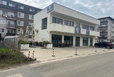 Spațiu comercial, de 220 mp, în Valea Lupului - 3