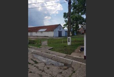 Ferma langa Oravita 5600 mp construiti si teren 24281 intravilan - 3