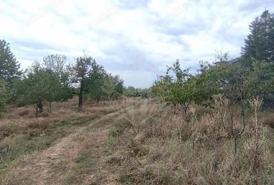 Teren de 17211 mp, în Păulești - 2