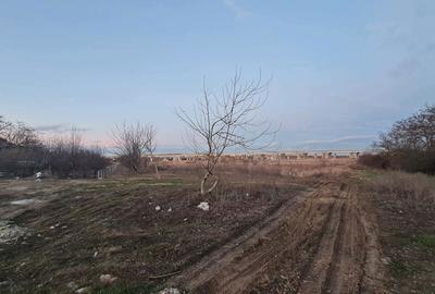 Teren de 1000 mp, în Manolache - 3