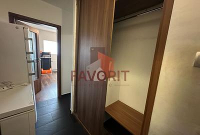 Apartament cu 2 camere semidecomandat în Dâmbovița - 13