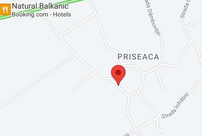 Teren de 1000 mp, în Priseaca - 3