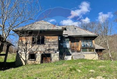 Teren agricol extravilan de 7495 mp, în Bârsana - 2