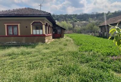 Teren de 3500 mp, în Izvoarele