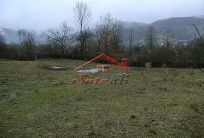 Teren de 2656 mp, în Drăgăneasa - 10