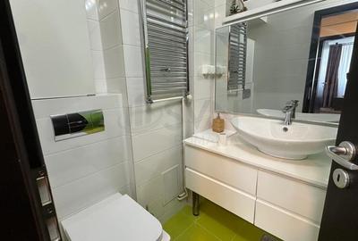 Apartament cu 3 camere semidecomandat, mobilat în Cișmigiu - 14