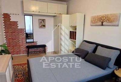 Garsoniera Pet friendly, zona Buziasului - 2