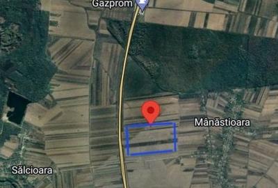 Teren Autostrada A1 24ha pentru balastiera - 6