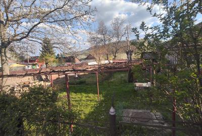 Casă cu 2 camere în Țărăncuța - 3