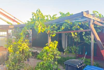 Vand casa - 2