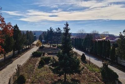 VANZARE VILA + TEREN + HALA IN VLADICEASCA (SNAGOV) - 4