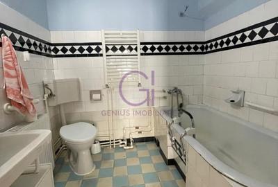 Casa vintage de inchiriat cu gradina de poveste langa Parcul Sub Arini - 16