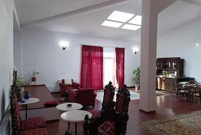 Vila Calea Victoriei Cismigiu - 3