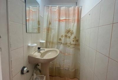 Garsoniera 20mp la casa zona Milea - 5