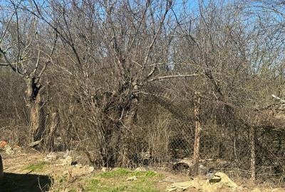 Teren Construcții intravilan de 1800 mp, în Găneasa - 5