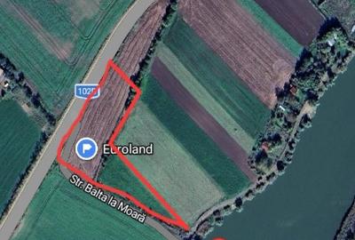 Teren Construcții intravilan de 5000 mp, în Sălciile - 3