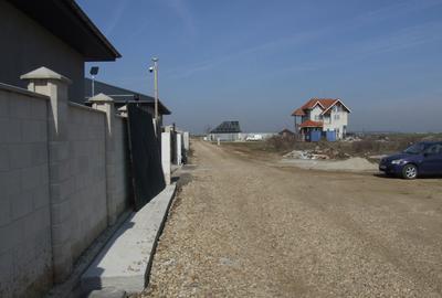 Domnesti-Ciocarliei, Afinului - 4