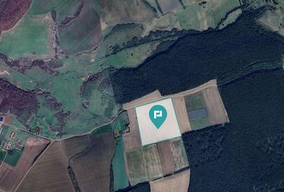 Teren de 12930 mp, în Remetea Mare