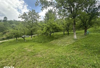 Teren de 2400 mp, în Telega - 1