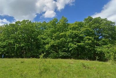 Teren 550 mp de vanzare in Tocile - 4