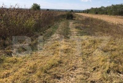 Teren 3222 mp, zona Dragomiresti - 4