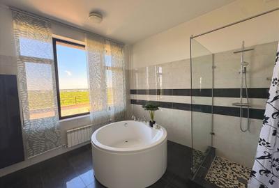 Penthouse  4 camere  Erou  Iancu Nicolae - 11
