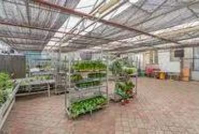 CASA BARTOLOMEU- sediu firma/ comercial/ servicii- zona circulata - 12
