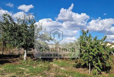 Inchiriere casa comuna 1 decembrie - 5