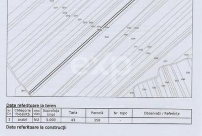 Teren agricol extravilan de 23000 mp, în Mareș - 2