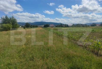 Teren intravilan la sosea, 6400 mp, Vicov de Sus - 3