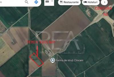 Teren de 9345 mp, în Clinceni