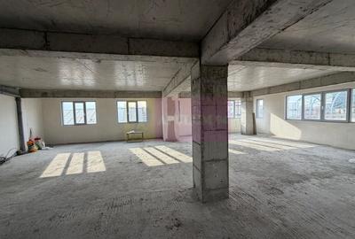 Proprietate specială, de 800 mp, în Theodor Pallady - 34