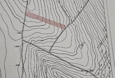 Teren de 800 mp, în Moara Grecilor - 2