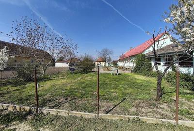 Casă cu 3 camere cu Teren 1500 Mp în Beregsău Mare - 9