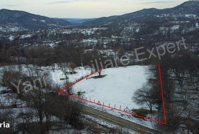 Spațiu comercial, în Bradu - 6