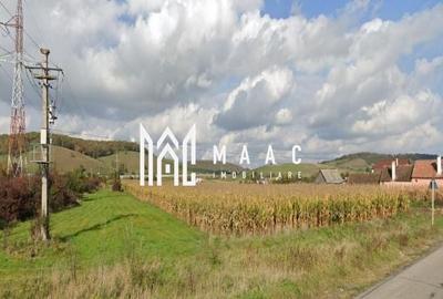 Teren | Proiect Case | Intavilan | 7000mp | Cristian - 1