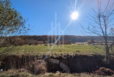 Teren extravilan in Tropinii Noi (Rasinari)-2592 mp - 4