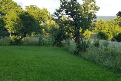 Teren de 4000 mp, în Central - 3