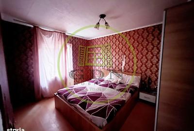 Apartament cu 3 camere decomandat în Brazda lui Novac - 6