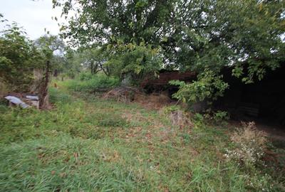 Teren Construcții intravilan de 1900 mp, în Dumbrăvița - 4