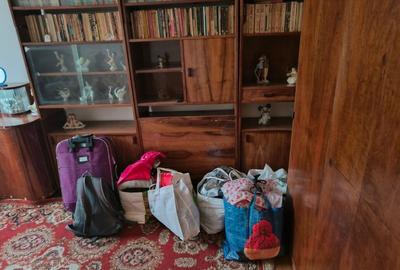 Apartament 2 camere Tractorul-Faget - 3