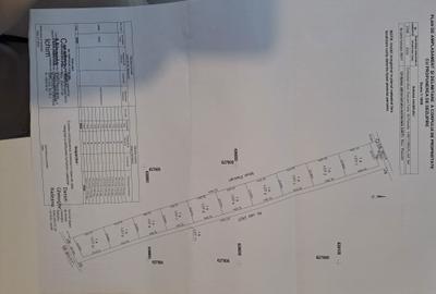 Spațiu comercial, în Boșteni