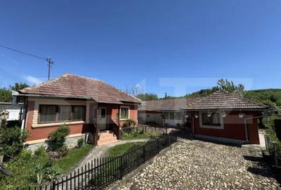 Casă cu 4 camere cu Teren 13000 Mp în Primăverii - 4