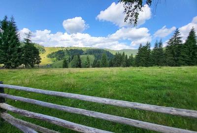 Teren de 5000 mp, în Ortoaia - 4
