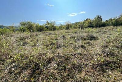 Teren extravilan, 15 arii, pretabil pentru investitii, const - 5